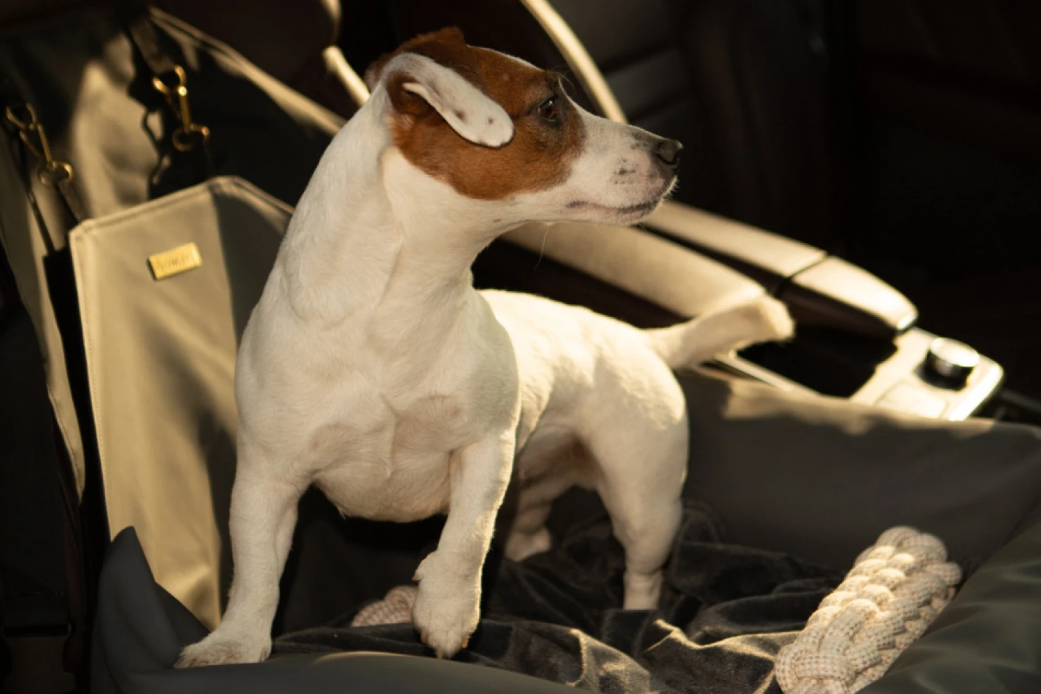Cotons de Tulear Dog Car Seat for Nissan Frontier
